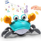 Interactive Crab Toy | Love Bubble Store